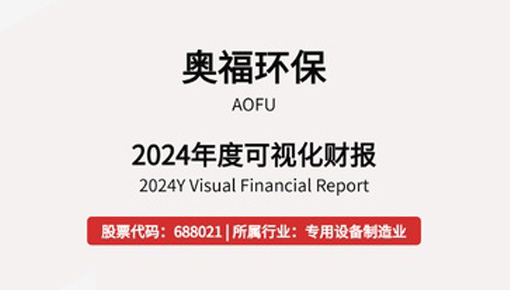 2024年年度可视化财报